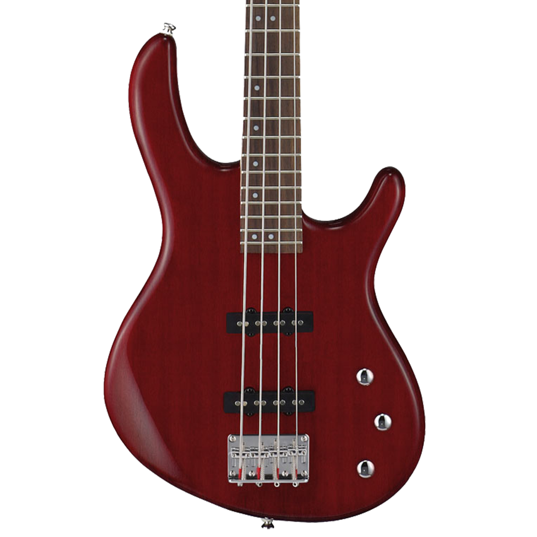 Cort Action JJ Bass Guitar